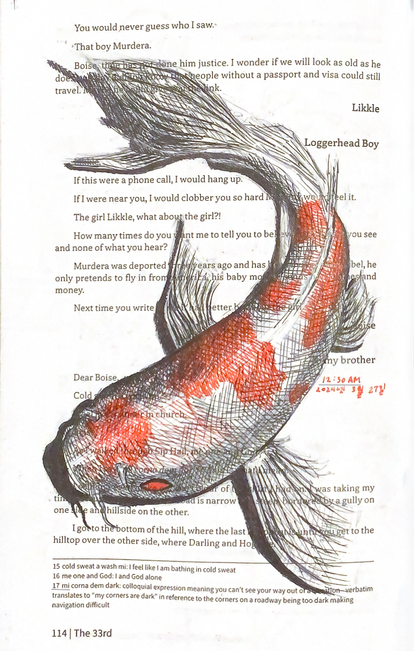 Koi fish drawing, pen and ink on book